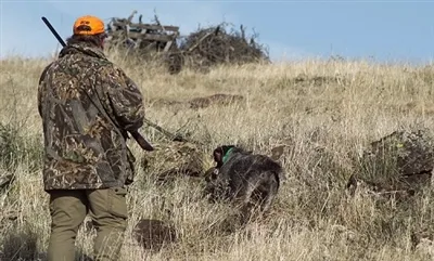 What Is The Best Time To Go Hunting